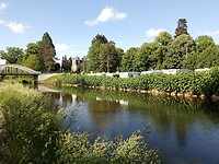 IMG_20220516_173716_411