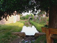 IMG_20220619_201957_918