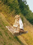 IMG_20220619_201106_230