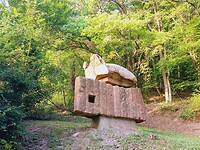 IMG_20220619_200810_265