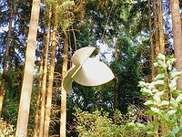 IMG_20220619_200318_783