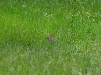 P6215527