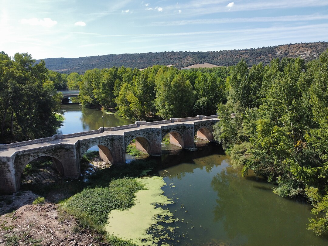dji_fly_20220918_163916_60_1663513214970_photo_optimized