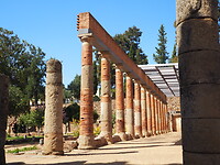 PA081577