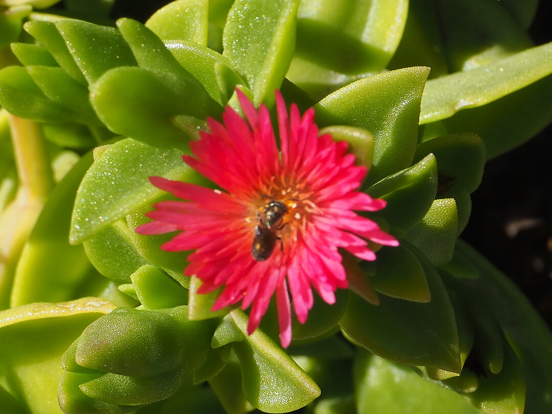 PA081595