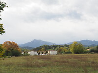 PA202793