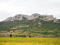 PA212899
