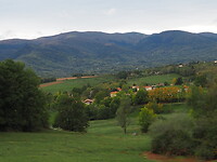 PA212861
