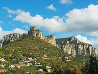 PA222995