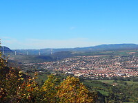 PA222954