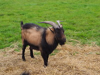 PA253260