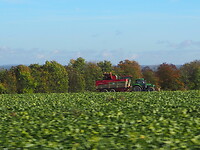 PA263282
