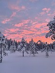 IMG-20230117-WA0009