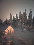 IMG-20230118-WA0050