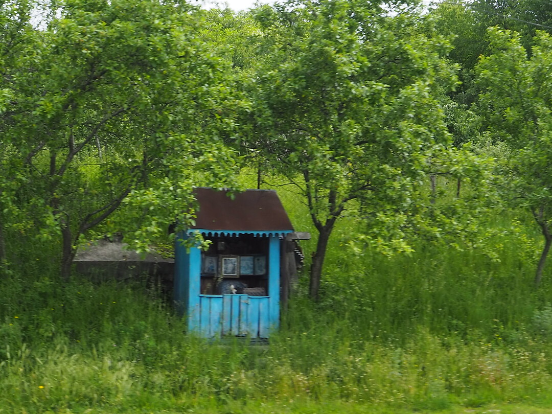 P5294818