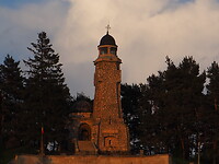 P5294874