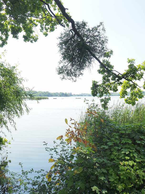 P6206357