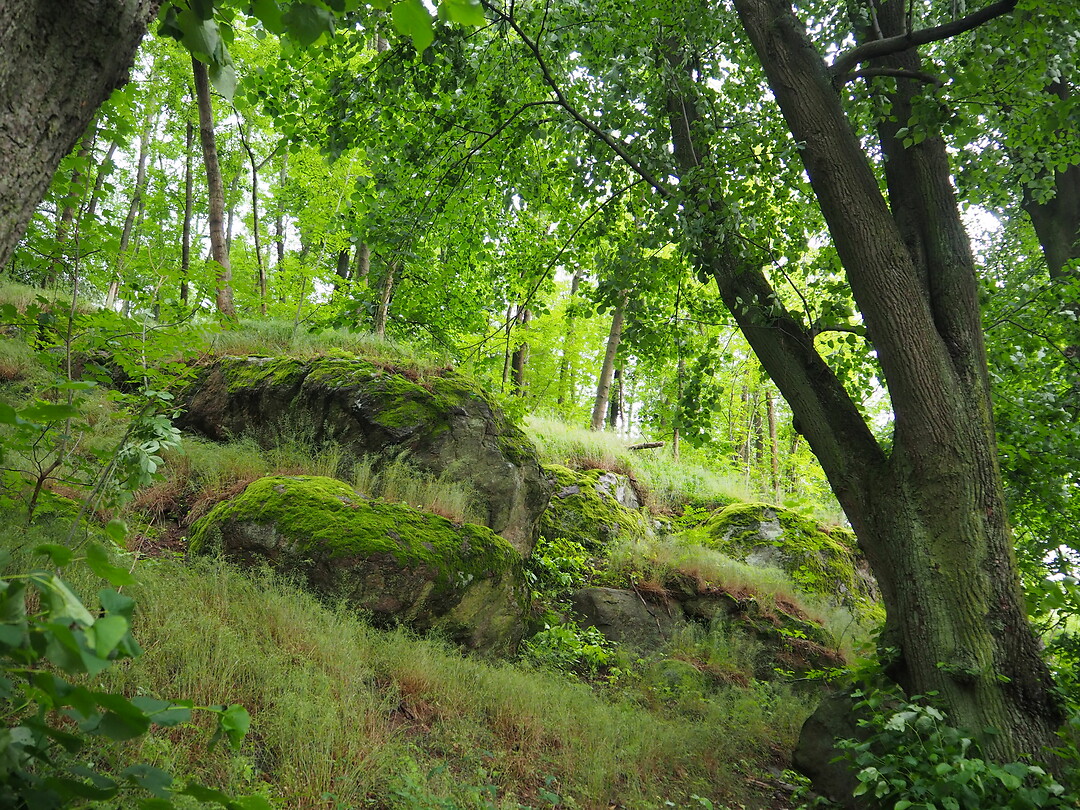 _P6216451