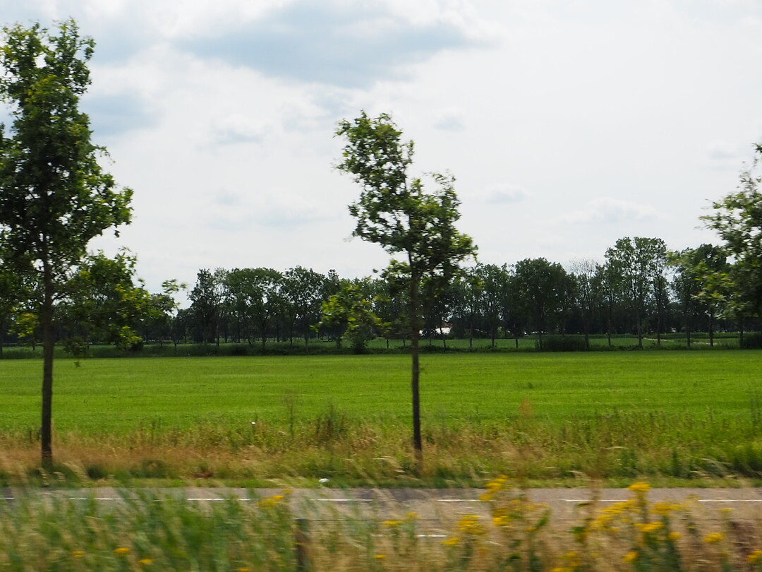 _P6306944