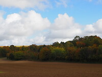 _PA272071