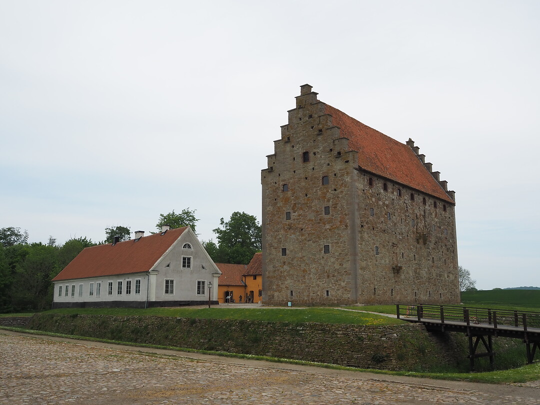 P5230222