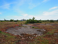 P5290578