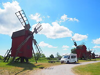 P5290566