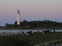 P5280553