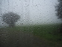 P9302288