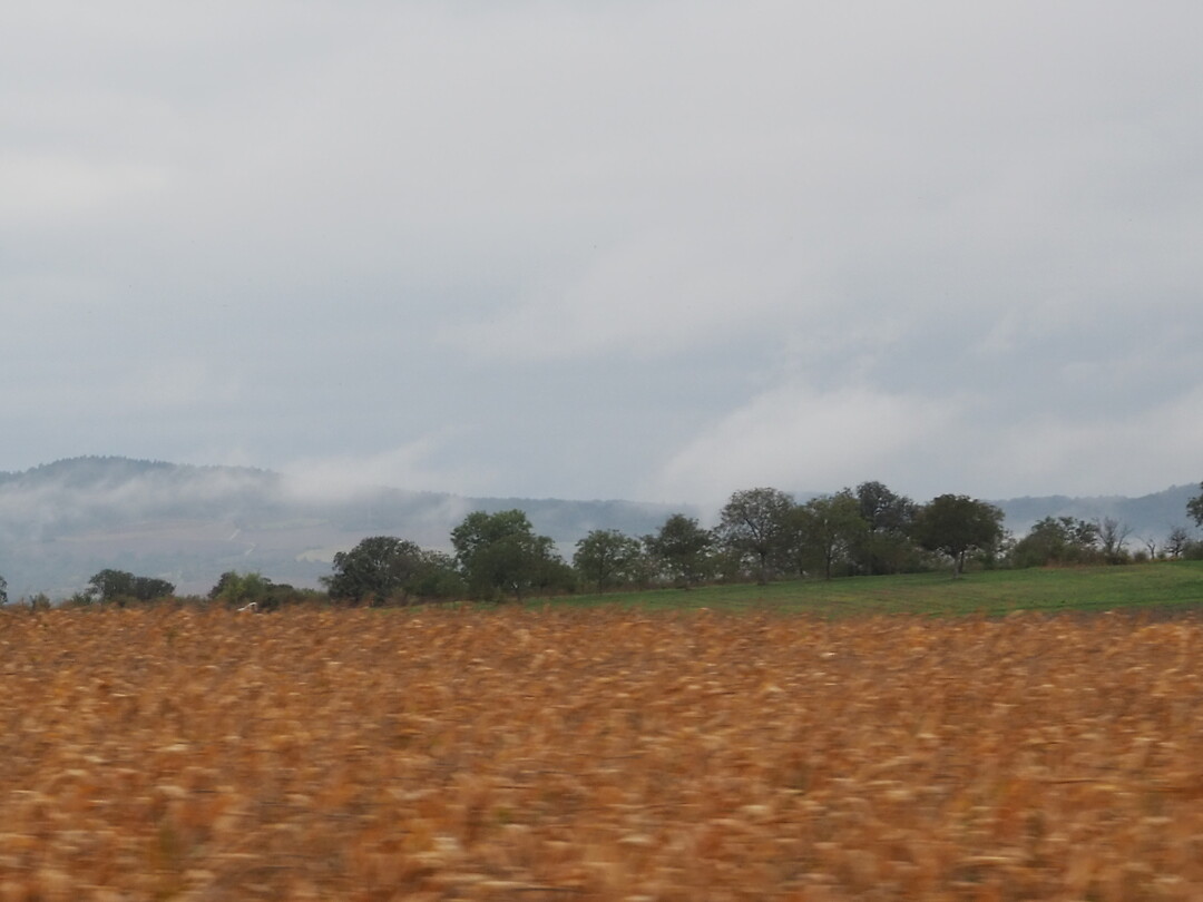 PA012344