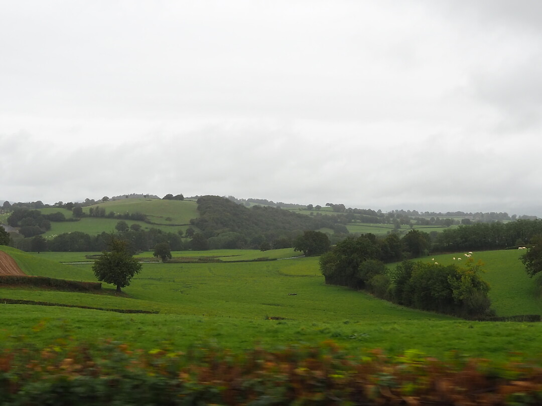 PA012336