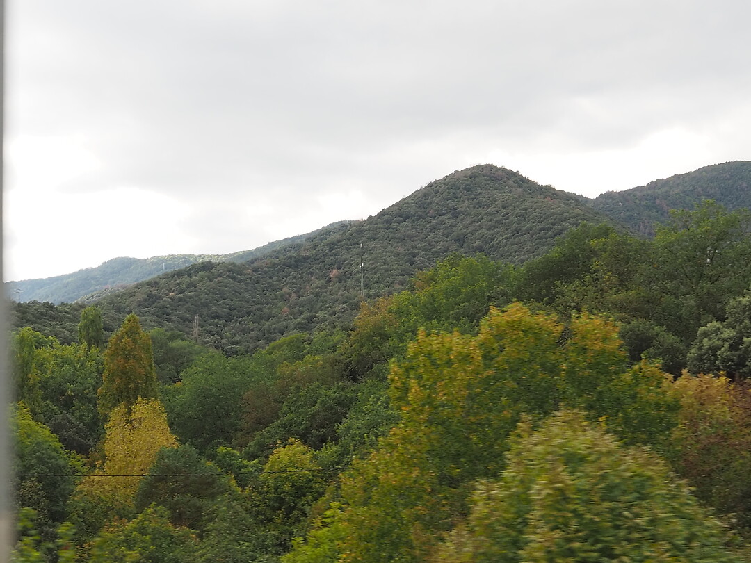PA062669