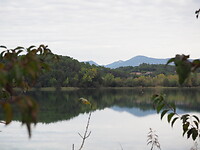 PA062601