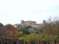 PA072687~2