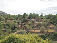 PA082799