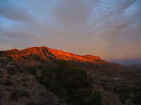 PA092878