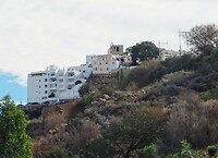 PA113031~3
