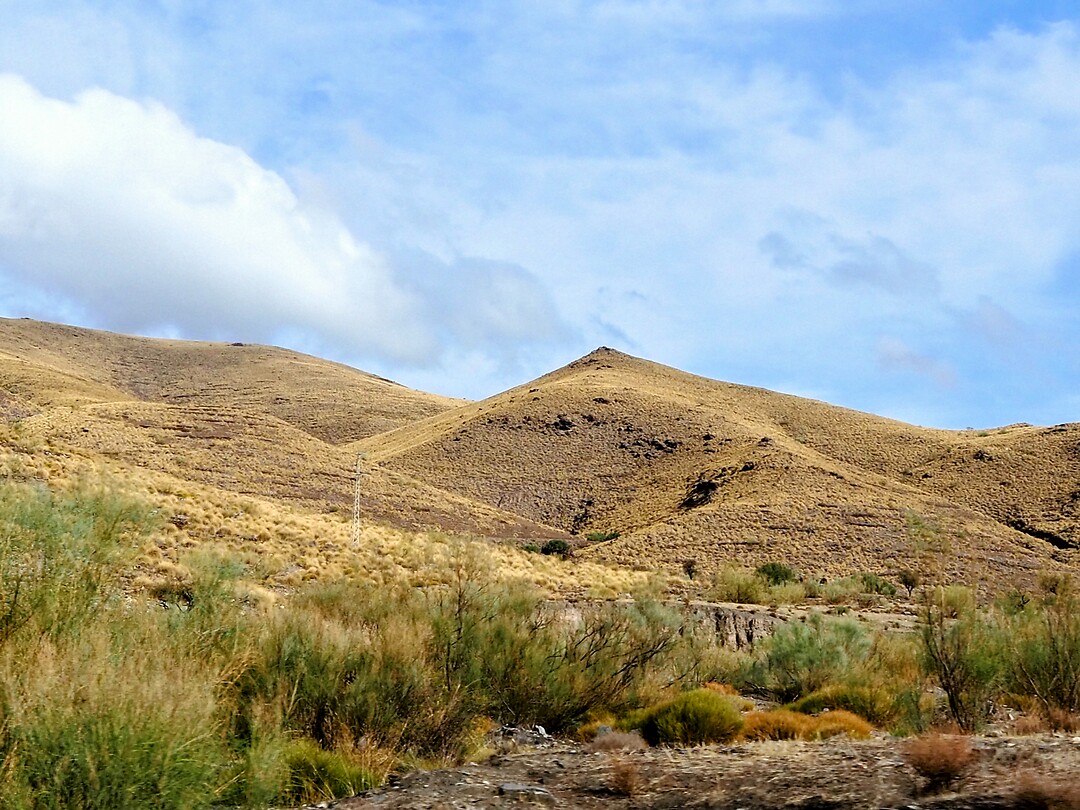 PA133311~2