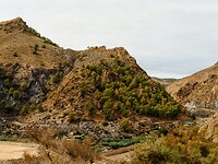 PA133331~2