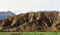 PA133336~2