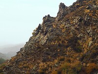PA143396~2