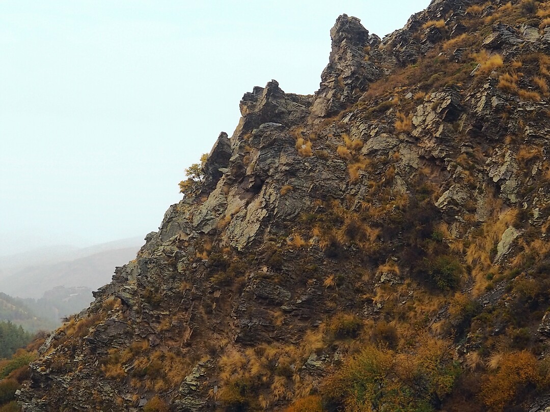 PA143396~2