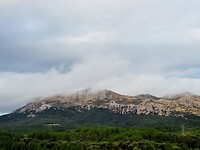PA153478~2