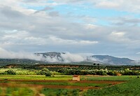 PA153484~2