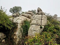 PA153533~2