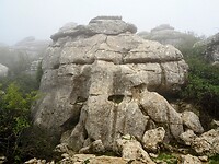 PA153550~2