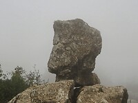 PA153553~2
