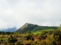 PA163646~2