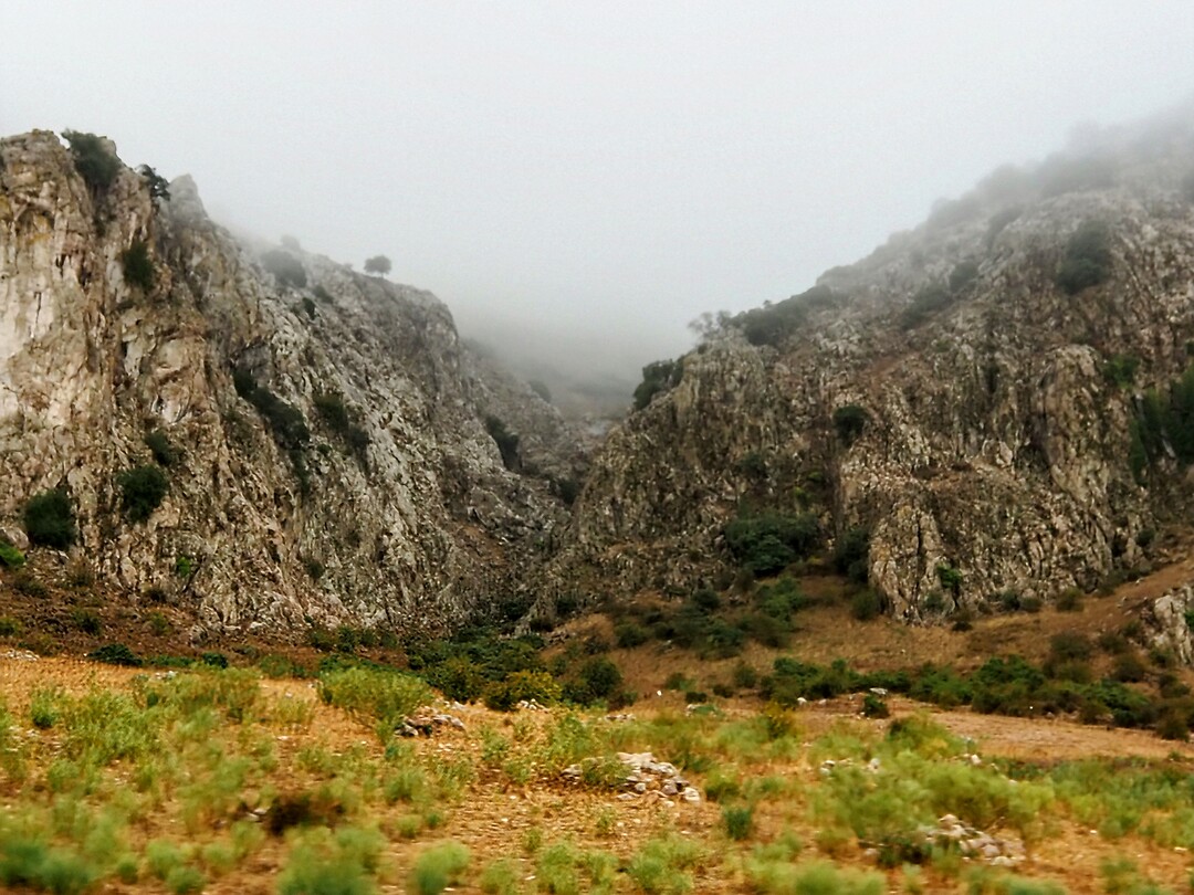 PA163598~2