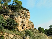 PA254440~2